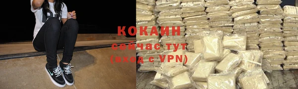 стафф Корсаков