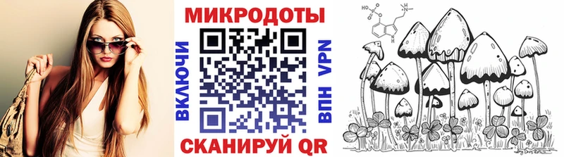 Галлюциногенные грибы Psilocybine cubensis  Ивангород 